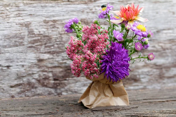 Jesienne Astry Inne Piękne Kwiaty Kwiaty — Zdjęcie stockowe