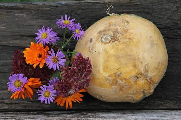 キャベツカブと秋の花 — ストック写真