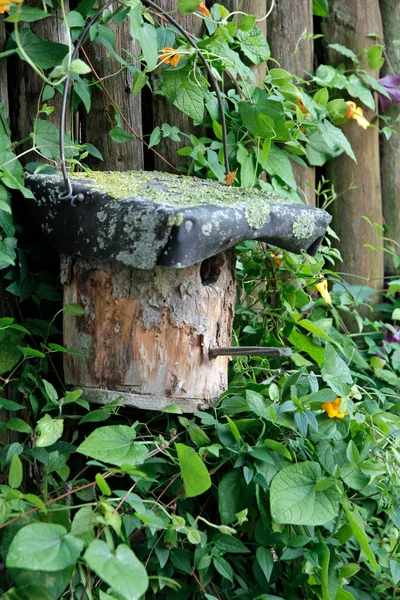 Självgjort Fågelhus Från Naturen Och Pappa — Stockfoto