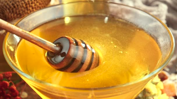 木製の蜂蜜の棒は蜂蜜の敷地でゆっくり回転する — ストック動画
