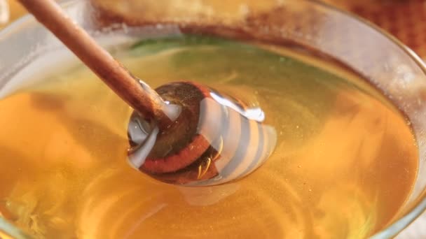 Wooden Honey Stick Rotates Slowly Honey Grounds — Stock Video