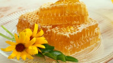 Arı balı, yavaşça ince bir derede bala doğru akar.