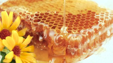 Arı balı, yavaşça ince bir derede bala doğru akar.