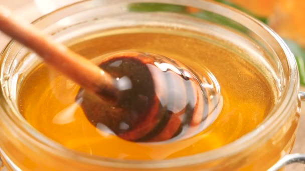 Een Houten Honingstokje Draait Langzaam Honinggronden — Stockvideo