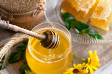 Bal, bastondan bal peteğine yavaşça akar..