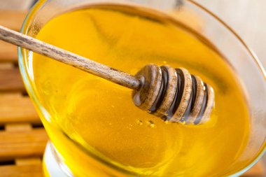 Taraktaki bal arısı.