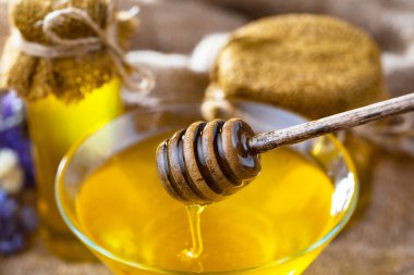 Taraktaki bal arısı.