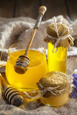 Taraktaki bal arısı.