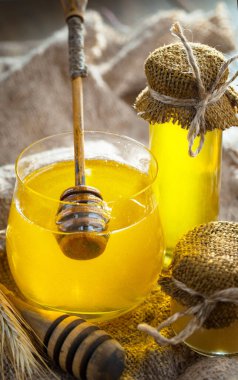 Taraktaki bal arısı.