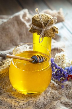 Taraktaki bal arısı.