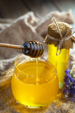 Taraktaki bal arısı.