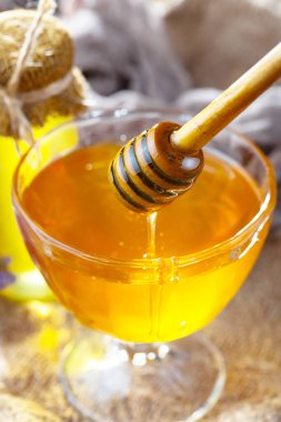 Taraktaki bal arısı.