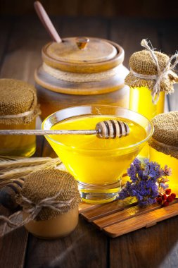 Taraktaki bal arısı.