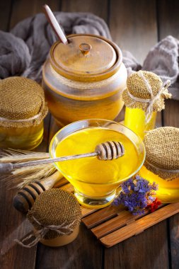 Taraktaki bal arısı.