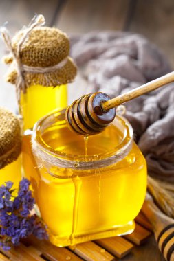 Taraktaki bal arısı.