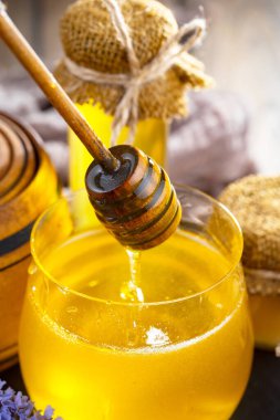 Taraktaki bal arısı.