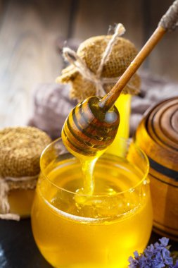 Taraktaki bal arısı.