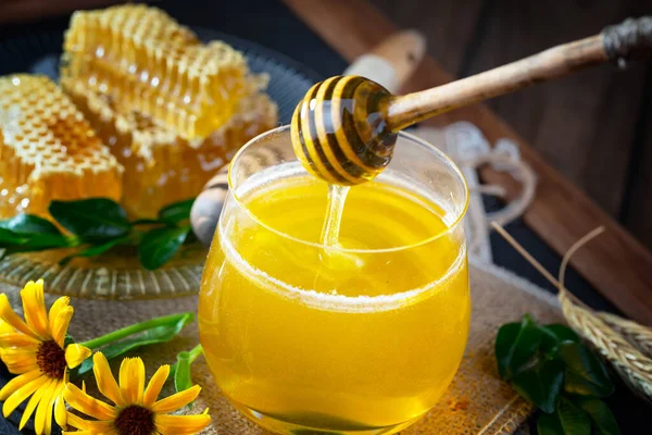 The honey flows slowly from the stick onto the honeycomb.