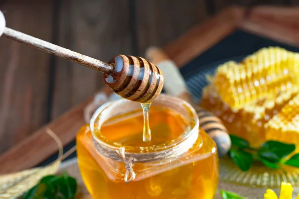 Der Honig Fließt Langsam Vom Stock Auf Die Wabe — Stockfoto