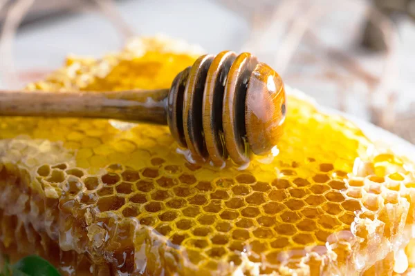 The honey flows slowly from the stick onto the honeycomb.