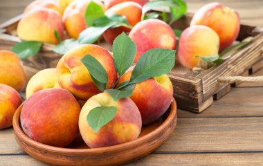 Eski bir arkaplanda olgun şeftaliler