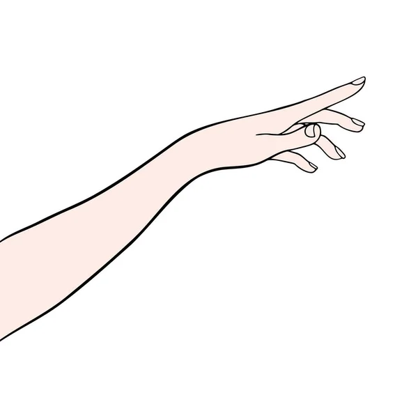 Mulher mão mostrando com silhueta vetor dedo. Logótipo feminino. Desenho de linha Punho feminino. —  Vetores de Stock