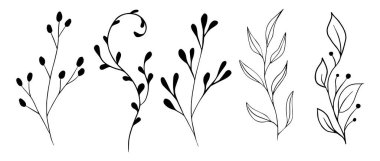 Vektör dalları ve yaprakları. El çizimi çiçek elementleri. Klasik botanik çizimleri. Çilekli çiçek dalı.. 