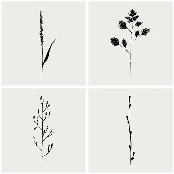 Цветочный набросок. Векторная коллекция косметических трав и растений. — стоковый вектор