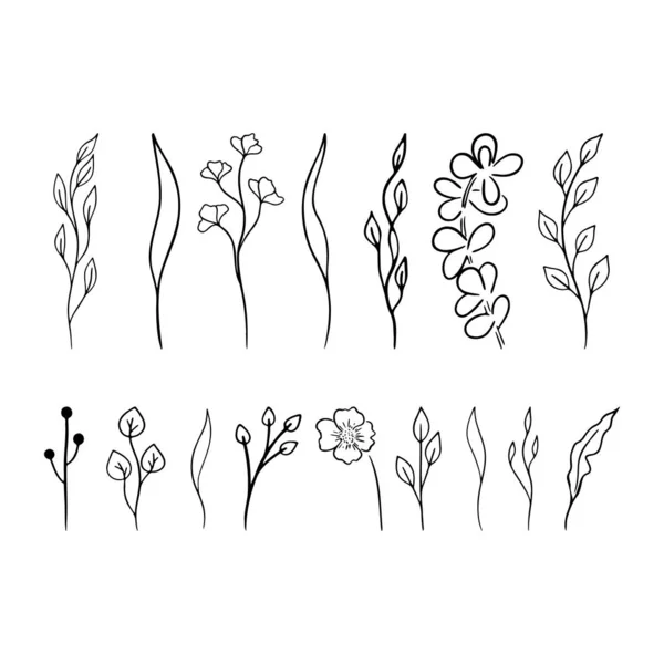 Gekritzelter Blumenzweig. Schwarze Blätter Vektor-Set. Einfache Floral Kollektion. Handgezeichnete Öko-Symbole. — Stockvektor