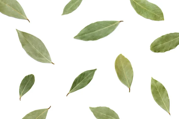 Dried bay leaves on white — Stock Photo, Image