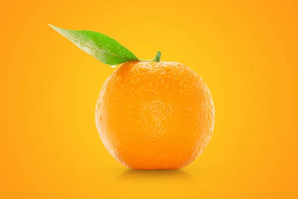 Orange juteuse — Photo