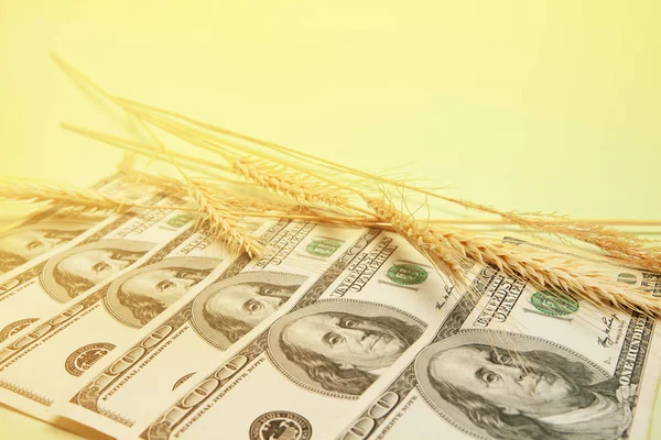 Dollar banknotes with spikelets of wheat — Stock Photo, Image