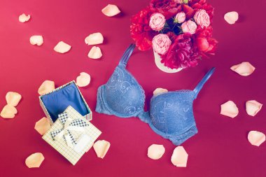 Bra and panties gift