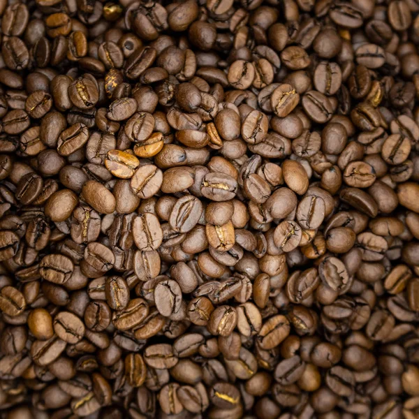 Kaffebönor Texturer Objekt — Stockfoto