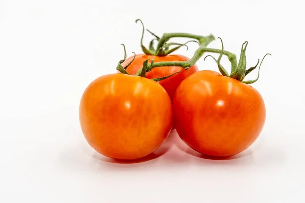 Три красных помидора с веткой — стоковое фото