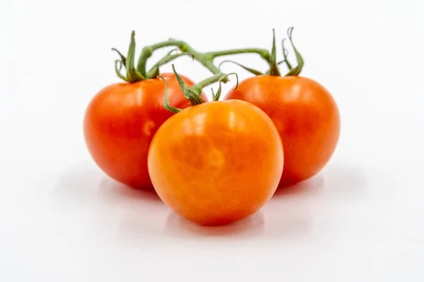 Три красных помидора с веткой — стоковое фото