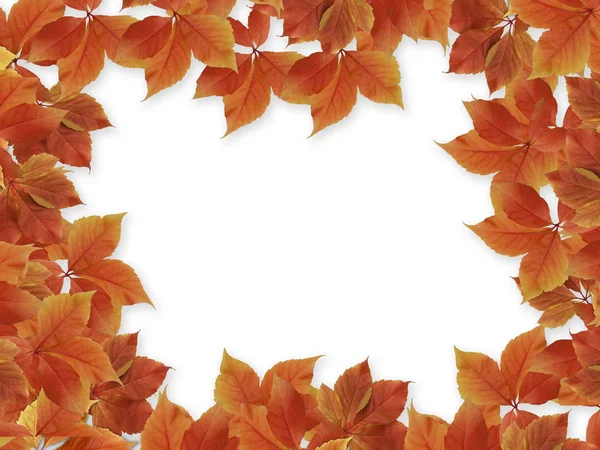 秋の背景 カラフルな赤とオレンジ色の秋の葉は書くためのコピースペース — ストック写真