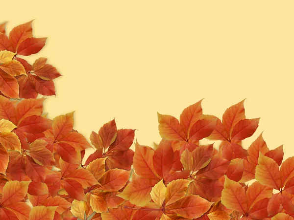 秋の背景 カラフルな赤とオレンジ色の秋の葉は書くためのコピースペース — ストック写真