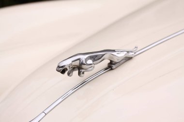 Kopenhag, Danimarka, 1 Eylül: Klasik kukuleta süs gelen eski model Jaguar araba - Jaguar olarak atlama.