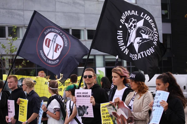 Copenhague Dinamarca Septiembre 2018 Veganos Vegetarianos Protestan Por Liberación Animal — Foto de Stock