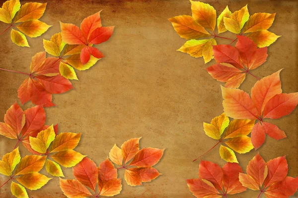 秋の背景 書き込み用のコピー スペースとグランジ背景にカラフルな赤とオレンジの秋の葉 — ストック写真