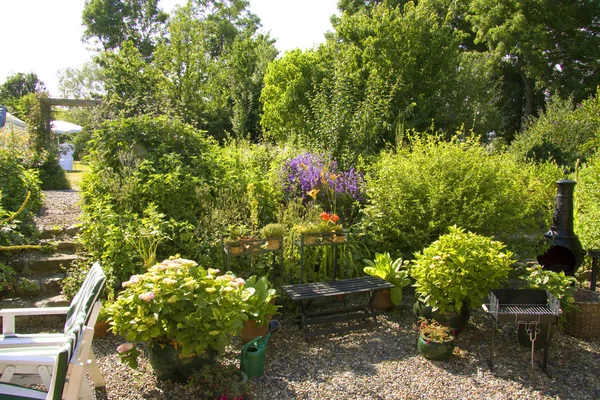 Luxuriant garden scene with lots of green plants