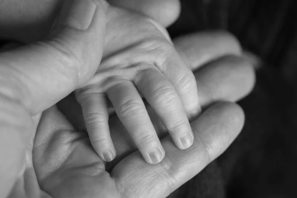 Baba Yeni Doğmuş Bir Bebek Elini Kucağına Tutuyor Siyah Beyaz — Stok fotoğraf