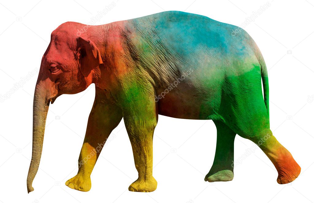 Walking elephant painted in psychedelic  colors red, green, blue and yellow. Side view isolated on white background.