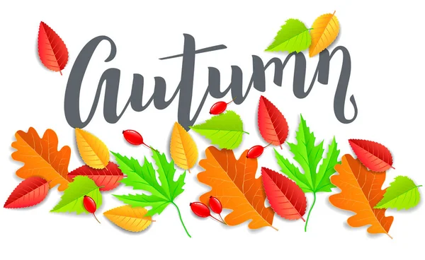 Autunno Banner Luminoso Orizzontale Con Foglie — Vettoriale Stock