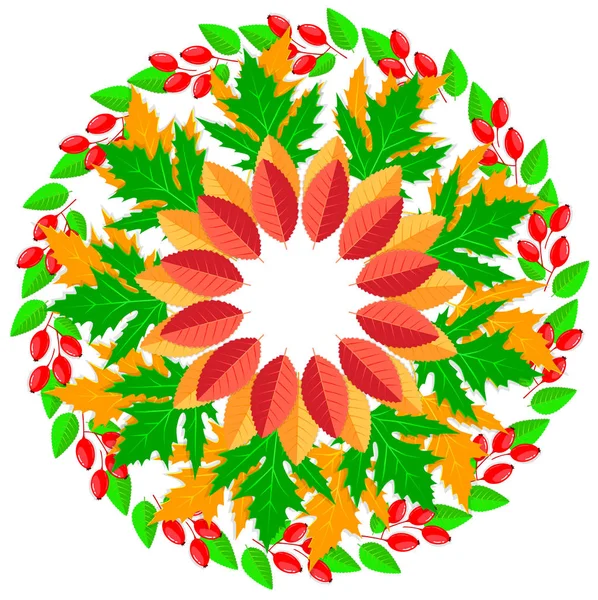 Bright Ornaments Pattern Autumn Leaves — Stock Vector