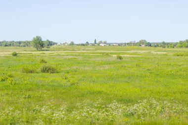 Köy kırsal manzara mera, alan, Doğa arka plan üzerinde çim yeşil alan ve ülke evleri, yaz çayır,