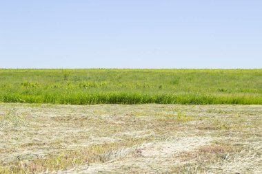 Güzel rustik yatay Köyü kırsal manzara, mavi gökyüzü yaz çayır karşı yeşil çim sahada biçilmis çim