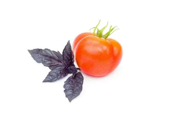 Tomate rouge biologique fraîche et violette, feuille de basilic violet, ingrédients de la salade, objet isolé sur fond blanc — Photo