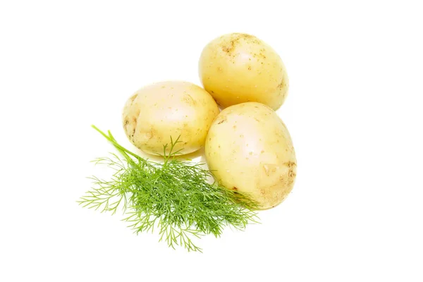 Batata jovem com endro verde, isolada sobre fundo branco. Pico de raiz de batatas orgânicas frescas, close-up — Fotografia de Stock